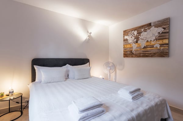 Furnished Service Apartments with view on Lake Geneva and in between vineyards 5