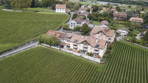 Furnished Service Apartments with view on Lake Geneva and in between vineyards 15