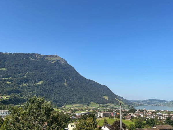 1 1/2 Zimmer-Wohnung mit See- und Bergsicht 12