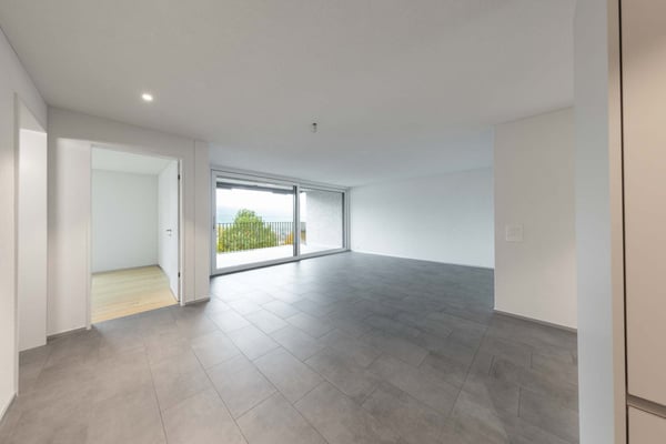 1 1/2 Zimmer-Wohnung mit See- und Bergsicht 2