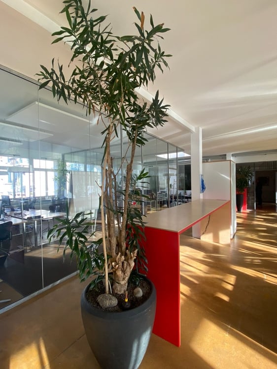 Moderne Büroräumlichkeit an zentraler Lage in Bern 6