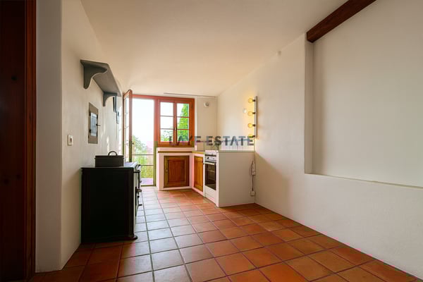 LEBEN IM GRÜNEN: GROSSZÜGIGE WOHNUNG IM RIEGELHAUS MIT GARTEN 3