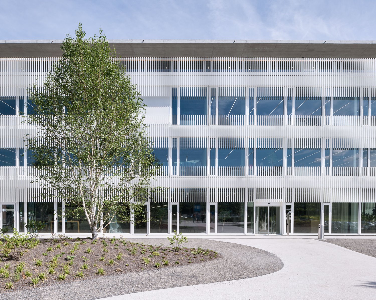 modern building, large glass windows, multiple floors, concrete facade with white vertical slats, main entrance, tree in front
