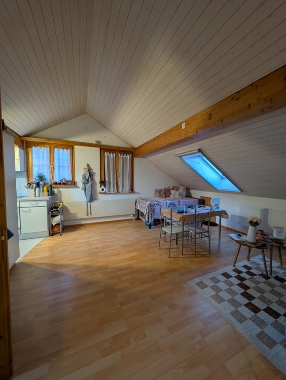 Charmante 3.5-Zimmer-Dachwohnung in Schleitheim 5