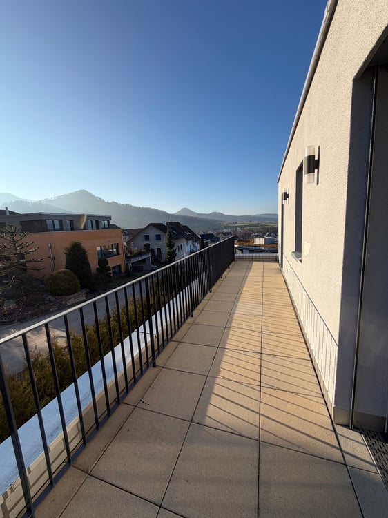 3.5-Attika-Wohnung mit fantastischem Ausblick 10