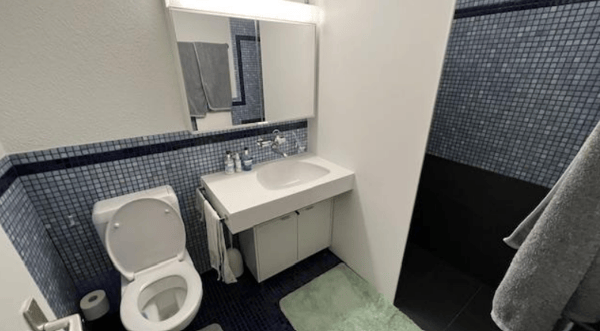 Charmante 2.5-Zimmer-Wohnung mit Bergblick in Flums 2