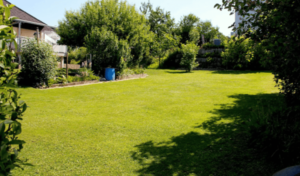 Charmantes 5.5-Zimmer-Einfamilienhaus in Bellmund – Mit Aussicht und grossem Garten 6
