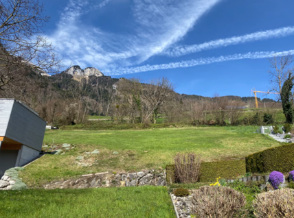 Aussergewöhnliches Bauland mit wunderschöner, unverbaubarer Aussicht in Lienz/Altstätten 8
