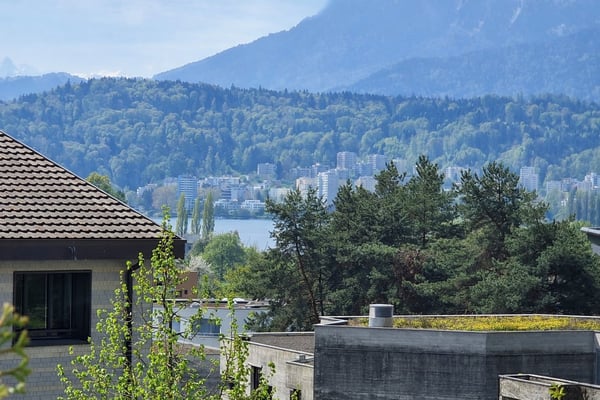 Wohnen, wo Luzern am schönsten ist - 1.5 Zimmerwohnung mit Potenzial 3