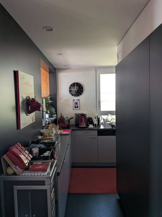 Grand duplex 6.5 pièces avec vue panoramique sur le lac et les Alpes, jardin privé 5