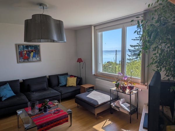 Grand duplex 6.5 pièces avec vue panoramique sur le lac et les Alpes, jardin privé 4