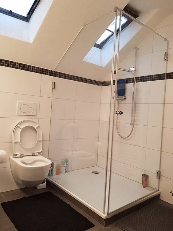 Helle und sonnige Dachwohnung per sofort zu vermieten 3