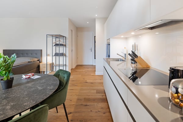 Grosszügiges möbliertes Studio mit Terrasse, Parkplatz & Co-Working-Zugang in Embrach, Zürich 8