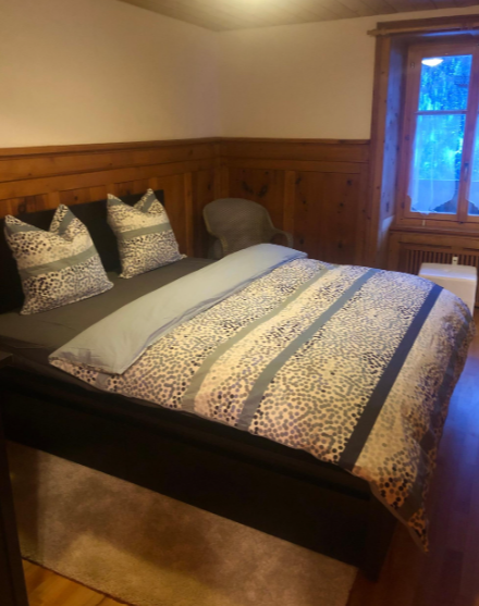 Charmante 6-Zimmer-Wohnung mit Cheminée und atemberaubender Bergkulisse in Avers-Cresta 4