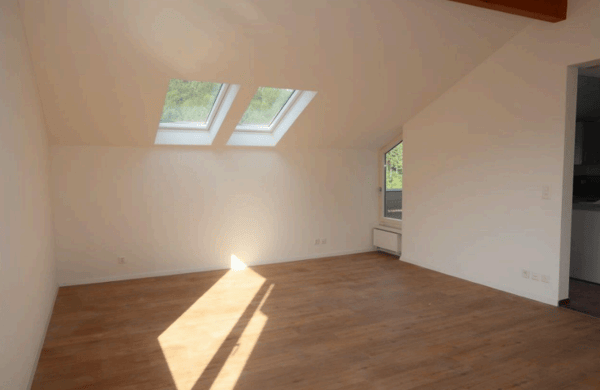 Ruhige grosszügige 2.5-Zimmer-Wohnung mit Terrasse in Stallikon 4