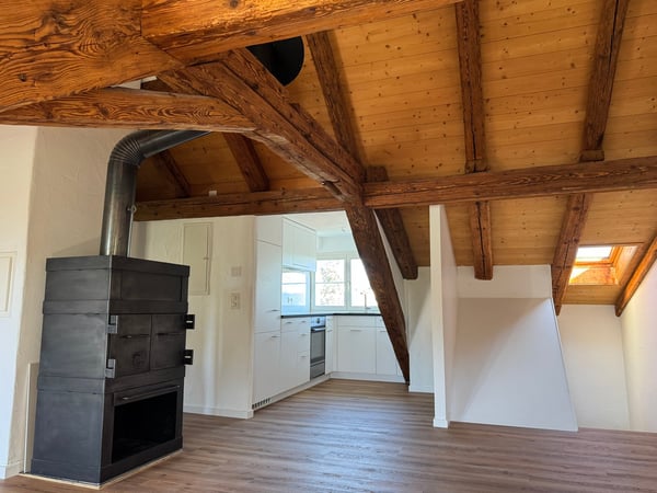 Erstbezug nach Renovation - Charmante Dachwohnung 4