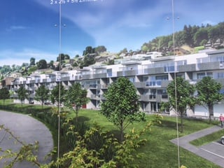 Attraktive grosszügige 3 1/2 Z'Whg. (top Etg.Whg Ausbau) 2