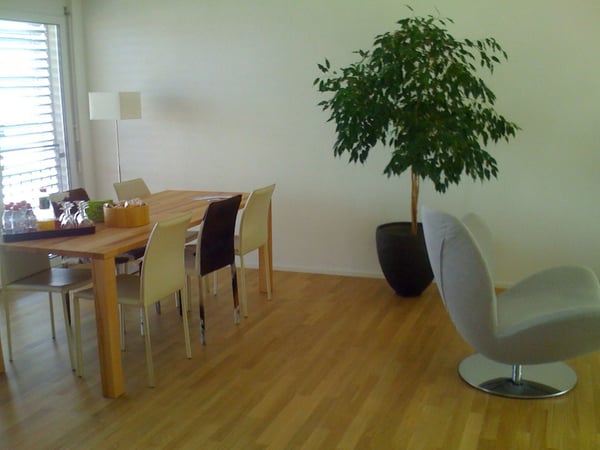 Möblierte 3,5 Zimmer/ 2 bedroom apartment in Adliswil (Zurich)