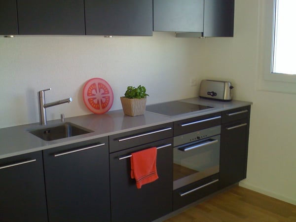 Möblierte 3,5 Zimmer/ 2 bedroom apartment in Adliswil (Zurich) 2