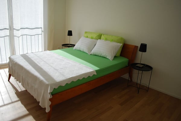 Möblierte 3,5 Zimmer/ 2 bedroom apartment in Adliswil (Zurich) 4