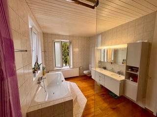 2.5-Zimmer-Wg mit grosser Süd-Terrasse + Gästehaus. Option: Mehrgenerationen-Haus 10