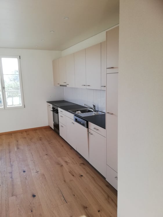 Wohnvergnügen mit Alpensicht im Rösslihof 2
