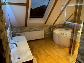 3.5-Zimmer Attika - Penthouse + Gästehaus. Option: Mehrgenerationen-Haus 5