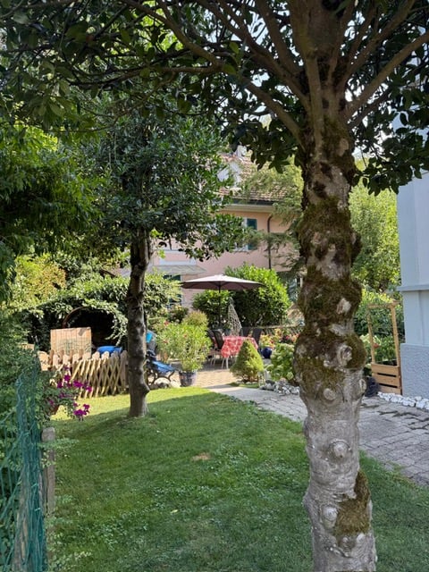 3 1/2 Wohnung in Oberburg zu vermieten