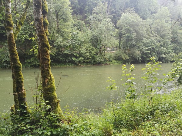 Restaurant Doubs – Neue Chance 10