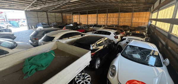 Gewerbe Lager / Halle / Garage / Werkstatt zu vermieten in Aesch (LU) 5