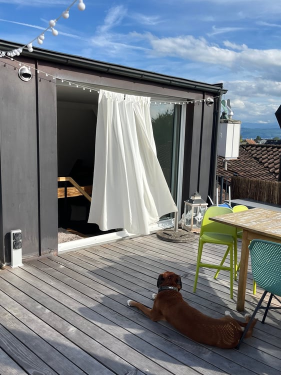 Charmante 2.5-Zimmer-Dachwohnung an sonniger Lage in Uetikon am See 5