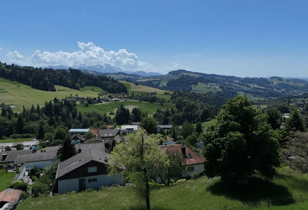 Charmantes 8.5-Zimmer-Einfamilienhaus an privilegierter Südhanglage 12