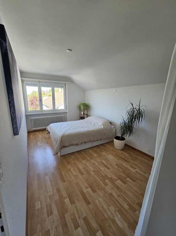 Wohnen am Waldrand - charmante 2-Zimmerwohnung in Wettswil 6