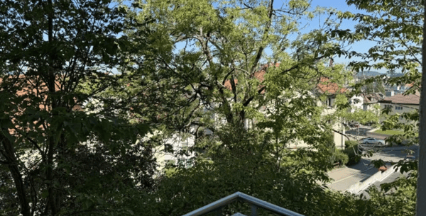 Schöne und helle 2,5 Zimmer-Wohnung ab SOFORT 12