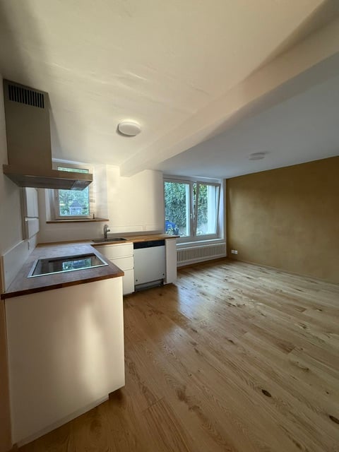 Erstvermietung nach Renovation, grosszügige 3.5-Zimmer-EG-Wohnung mit Terrasse und Garten