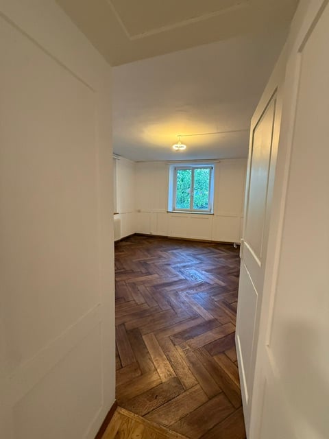 Erstvermietung nach Renovation, grosszügige 3.5-Zimmer-EG-Wohnung mit Terrasse und Garten 5