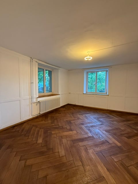Erstvermietung nach Renovation, grosszügige 3.5-Zimmer-EG-Wohnung mit Terrasse und Garten 4