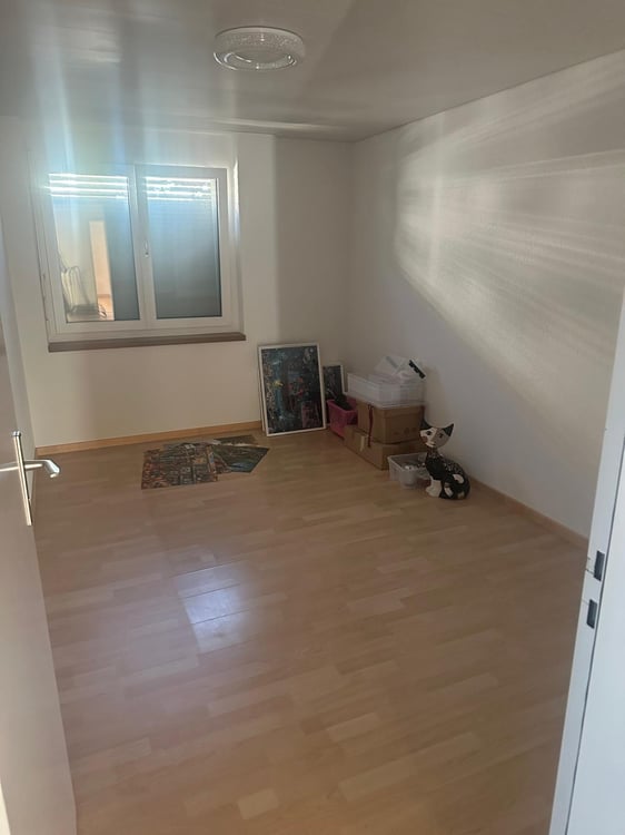 Helle 2.5-Zimmer-Wohnung mit Balkon und Lift in Reiden 2