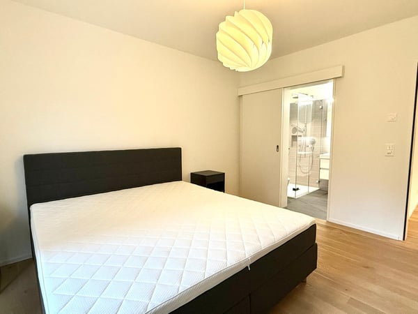 Vollmöblierte 2.5-Zimmer-Wohnung an Toplage in Luzern 6