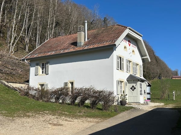 Charmantes 6-Zimmer-Einfamilienhaus in Roche-d'Or – Historisches Zollhaus trifft moderne Renovation 1