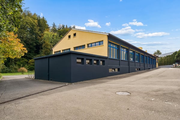 Attraktive Gewerbeliegenschaft mit vielseitigen Nutzungsmöglichkeiten 3
