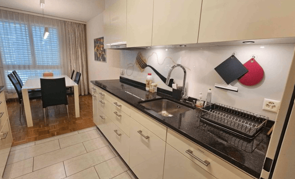 Ruhige luxuriöse möblierte Luzerner Wohnung- alles inkludiert 9