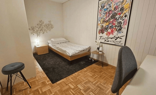Ruhige luxuriöse möblierte Luzerner Wohnung- alles inkludiert 8