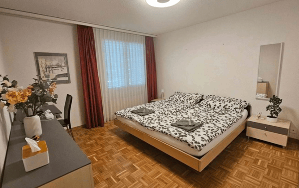 Ruhige luxuriöse möblierte Luzerner Wohnung- alles inkludiert 10