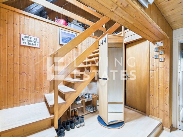 ROHDIAMANT MIT ENTWICKLUNGSPOTENZIAL - VOLLMERMIETET 9