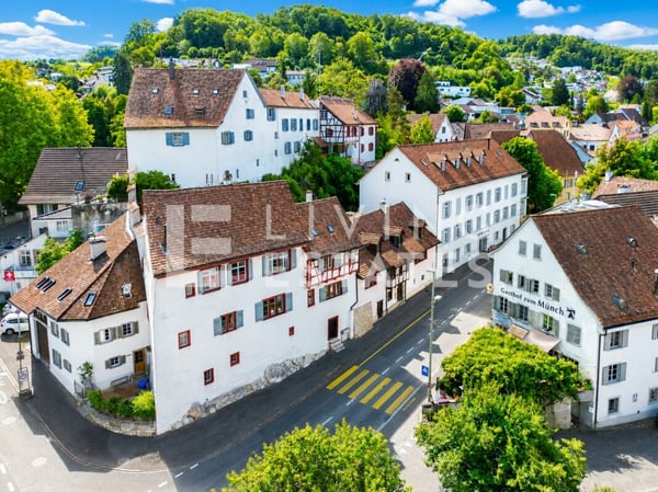 HISTORISCHES FLAIR. DREI EINHEITEN. VIELSEITIG NUTZBAR. 1