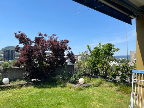 3.5-Zimmer-Eigentumswohnung mit Studio, grosszügigen Terrassen und idealer Lage 15