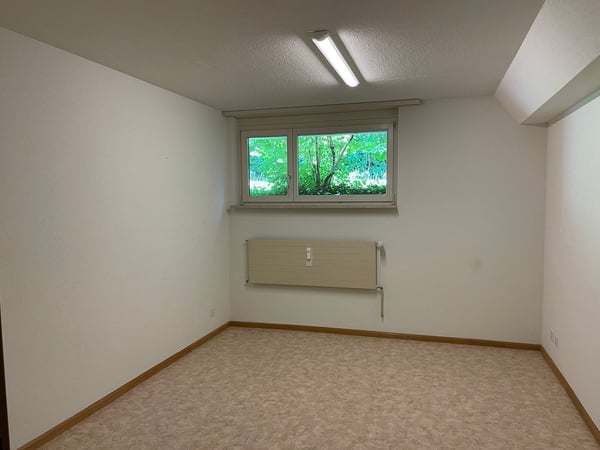 Sonnige 3.5-Zimmer-Eigentumswohnung mit Kamin, Hobbyraum und viel Potenzial 25