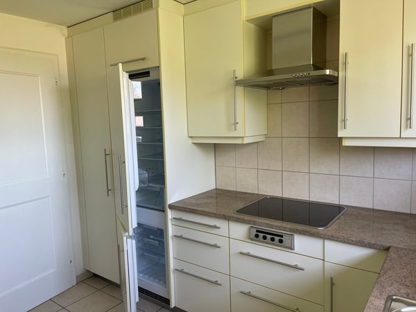 Sonnige 3.5-Zimmer-Eigentumswohnung mit Kamin, Hobbyraum und viel Potenzial 18