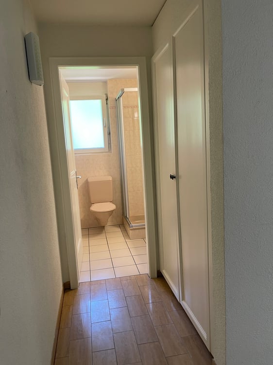 Sonnige 3.5-Zimmer-Eigentumswohnung mit Kamin, Hobbyraum und viel Potenzial 23